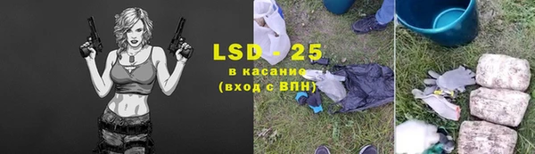 прущие грибы Алзамай