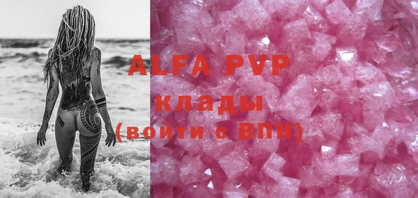 прущие грибы Алзамай