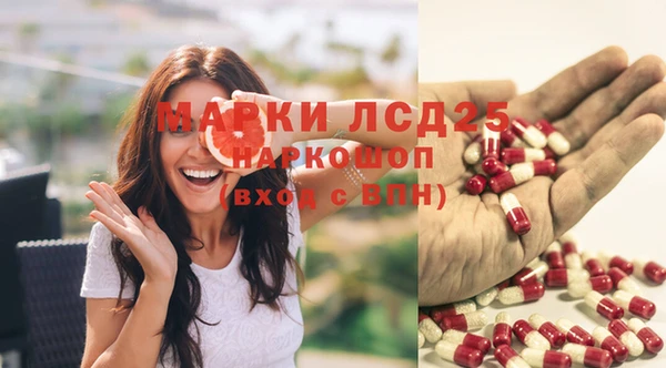 прущие грибы Алзамай