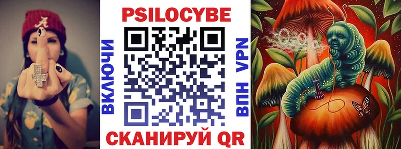 Псилоцибиновые грибы Psilocybine cubensis  дарнет шоп  omg зеркало  Жуковский 